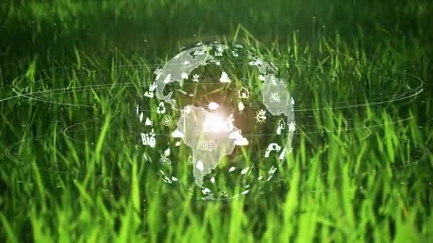 自然を背景にした環境生態学的標識法による緑の草の背景の地球 — ストック動画