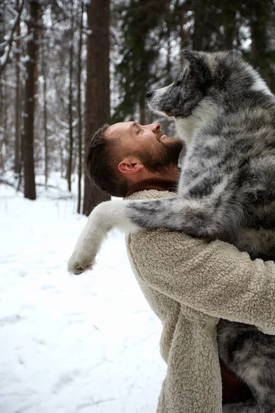 Uomini che giocano con husky siberiano nella foresta e nel parco invernale, animali ed ecologia — Foto Stock