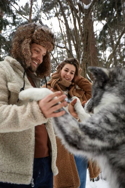 Feliz jovem casal em winterwear brincando com pura siberiana husky e se divertindo na floresta de pinheiros com neve — Fotografia de Stock