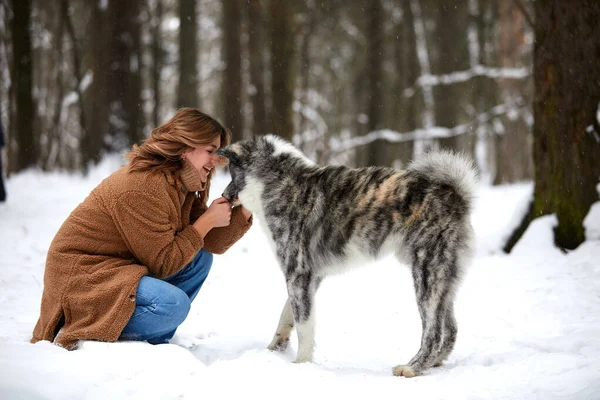 Szeretettel az állatoknak. Fiatal nő játszik a hóban egy husky kutya. — Stock Fotó