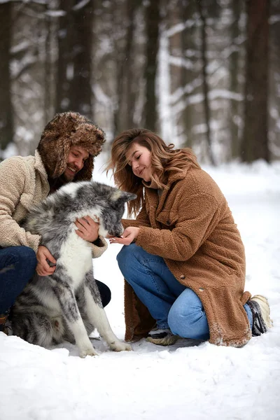 Casado jovem casal em um passeio na floresta de inverno com um cão de estimação husky — Fotografia de Stock