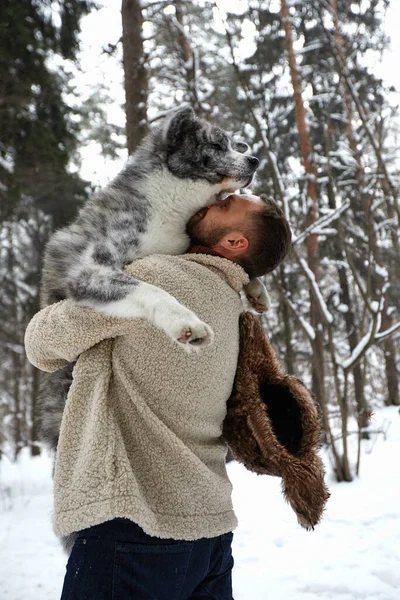 Homens brincando com husky siberiano na floresta de inverno e parque, animais e ecologia. Amante de animais. Cão - conceito de amigo humano — Fotografia de Stock