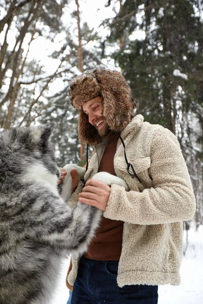Hombres jugando con husky siberiano en bosque y parque invernal, animales y ecología. Amante de mascotas. Perro - concepto de amigo humano — Foto de Stock