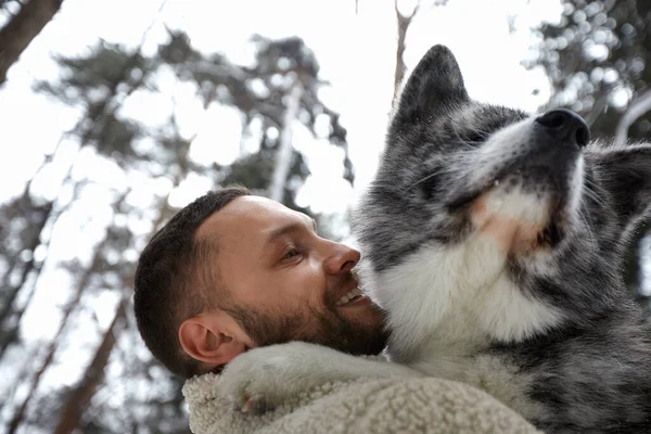 Hommes jouant avec husky sibérien dans la forêt d'hiver et parc, les animaux et l'écologie. Amoureux des animaux. Chien - concept d ami humain — Photo