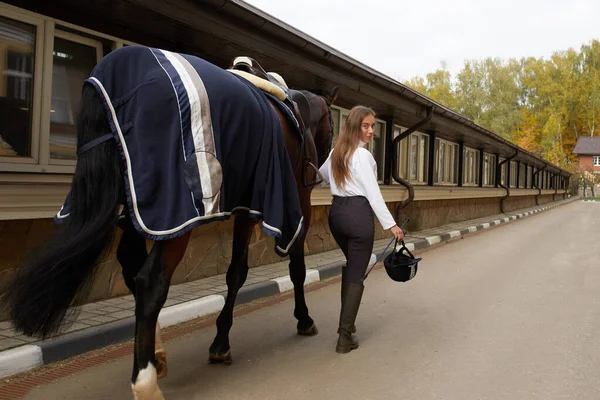 Female horseman going with her brown horse outdoor. Concept of animal care. Rural rest and leisure. Idea of green tourism. Young european woman wearing helmet and uniform — Fotografia de Stock