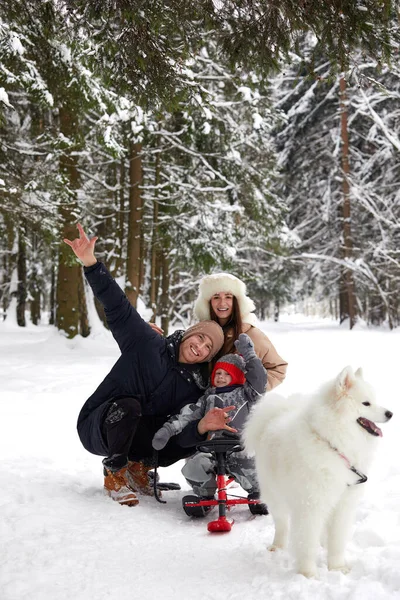 Familia de madre, padre e hijo divirtiéndose en madera de invierno nevada con perro mascota alegre. — Foto de Stock