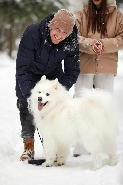 Feliz joven pareja en ropa de invierno jugando con pura raza husky siberiano y divertirse en el bosque de pinos de nieve — Foto de Stock