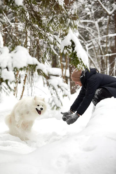Um humano e um cão são os melhores amigos. Homem e cão caminham na floresta nevada no inverno na neve profunda em um dia ensolarado. — Fotografia de Stock
