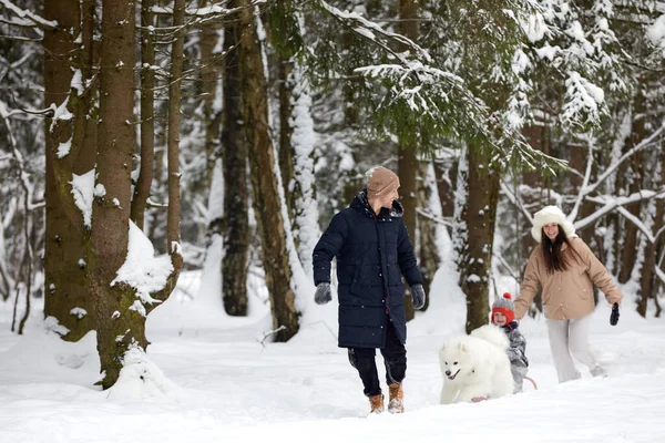 Familia de madre, padre e hijo divirtiéndose en madera de invierno nevada con perro mascota alegre. — Foto de Stock