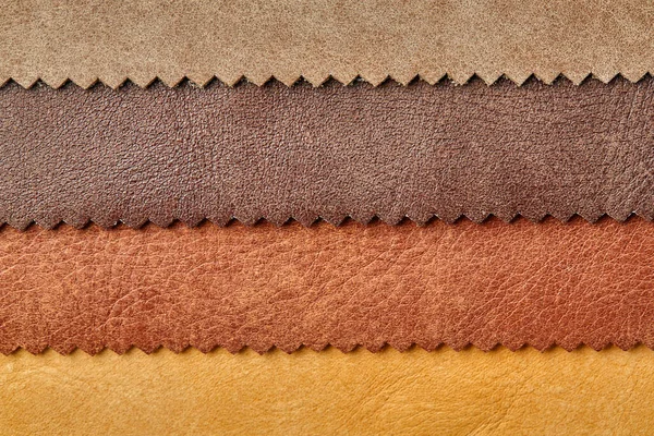 Sample of leather textile brown colors, background. Catalog and swatch tone of Interior fabric for furniture, closeup. Collection of multicolored cloth with skin pattern, macro