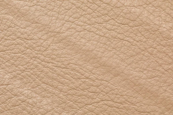 The ecru color beige leather sample . Abstract background with copy space, top view.