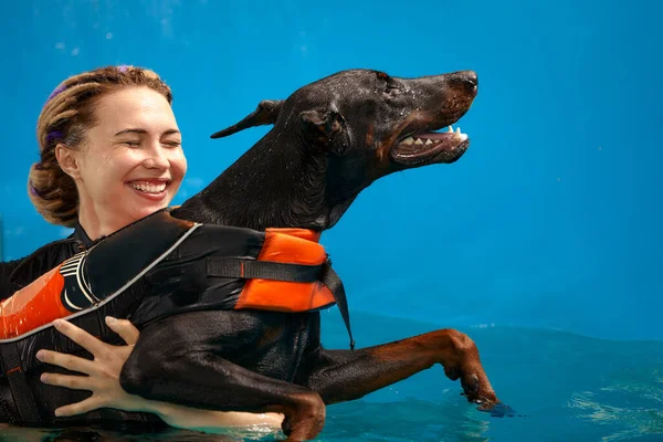 Dog in life jacket swim in the swimming pool with coach. Pet rehabilitation. Recovery training prevention for hydrotherapy. Pet health care.