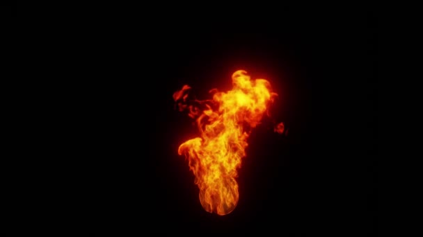 燃烧的火 现实的火在黑色背景 大自然的力量 — 图库视频影像
