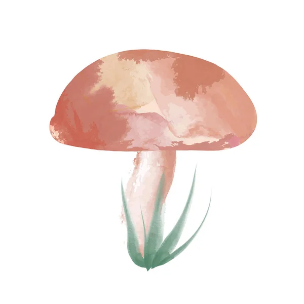 单瓣蘑菇 白色背景上有绿草 手绘水色蘑菇 — 图库矢量图片