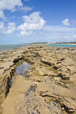 porto de galinhas mercan