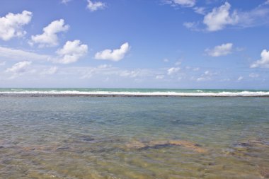 porto de galinhas mercan