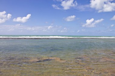 porto de galinhas mercan