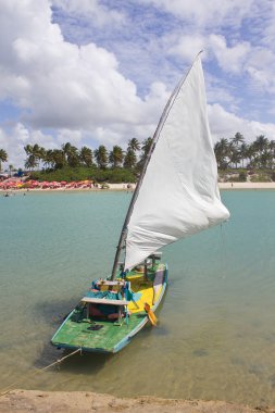 Porto de galinhas plaj tekne