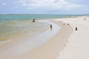 Porto de Galinhas beach