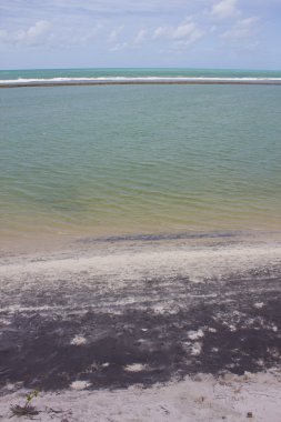 Porto de Galinhas beach