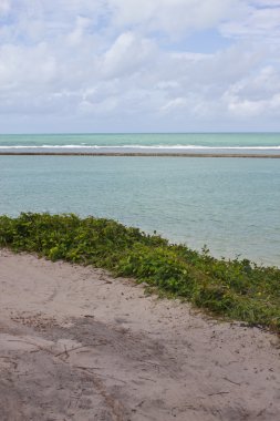 Porto de Galinhas beach