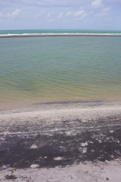 Porto de Galinhas beach