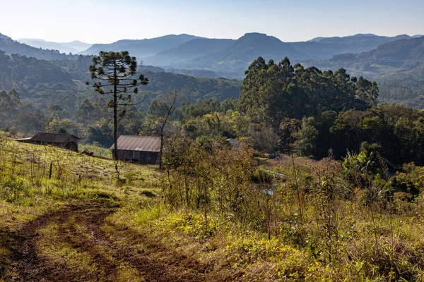 Farm field, dirty road, forest and mountains in Sao Jose do Hortencio, Rio Grande do Sul, Brazil