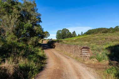 Santa Maria do Herval, Ro Grande do Sul, Brezilya 'da tarlaları ve ormanı olan kirli bir yol.