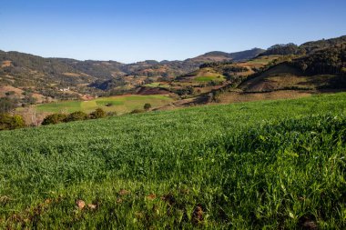 Orman ve dağ çevresindeki çiftlik çiftliği, Monte Alverne, Rio Grande do Sul, Brezilya