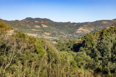 Dağ üzerindeki tarlalar ve ormanlar, Monte Alverne, Rio Grande do Sul, Brezilya