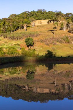 Ormanlı tarlalar bir göle yansıyor, Monte Alverne, Rio Grande do Sul, Brezilya