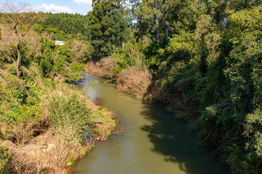 Sao Jose do Hortencio, Rio Grande do Sul, Brezilya çevresindeki ormanlık Cadeia nehri.