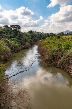 Sao Jose do Hortencio, Rio Grande do Sul, Brezilya çevresindeki ormanlık Cadeia nehri.