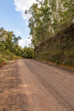 Sao Jose do Hortencio, Rio Grande do Sul, Brezilya 'daki kirli yol ve ağaçlar
