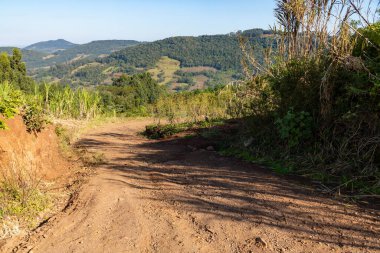Sao Jose do Hortencio, Rio Grande do Sul, Brezilya 'da ormandaki kirli yol