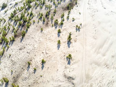 Kumulların, Bacopari 'nin, Mostardas' ın, Rio Grande do Sul 'un, Brezilya' nın etrafındaki kirli yolların havadan görünüşü