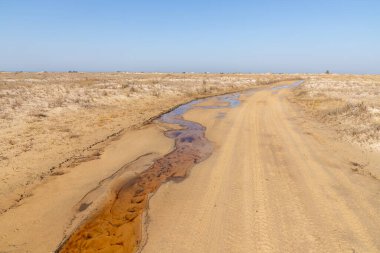 Kum tepelerinde ve bitkilerde yol, Bacopari, Mostardas, Rio Grande do Sul, Brezilya