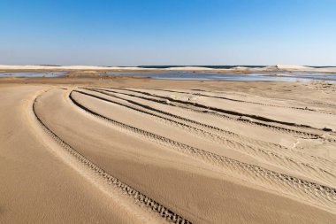 Kum tepelerinde lastik izleri, Bacopari, Mustardas, Rio Grande do Sul, Brezilya