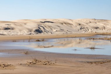 Göl, rüzgar ve bitki örtüsü, Bacopari, Mustardas, Rio Grande do Sul, Brezilya