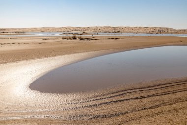 Göl, rüzgar ve bitki örtüsü, Bacopari, Mustardas, Rio Grande do Sul, Brezilya