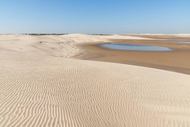 Göl, rüzgar ve bitki örtüsü, Bacopari, Mustardas, Rio Grande do Sul, Brezilya