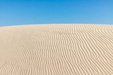 Rüzgarlı kum tepeleri, Bacopari, Mustardas, Rio Grande do Sul, Brezilya