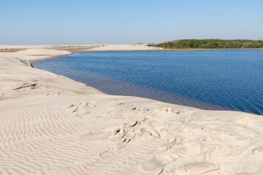 Kum, göl ve bitki örtüsü, Bacopari, Mostardas, Rio Grande do Sul, Brezilya