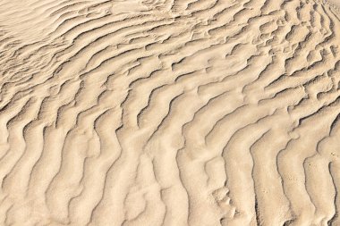 Rüzgarlı kum, Bacopari, Mustardas, Rio Grande do Sul, Brezilya