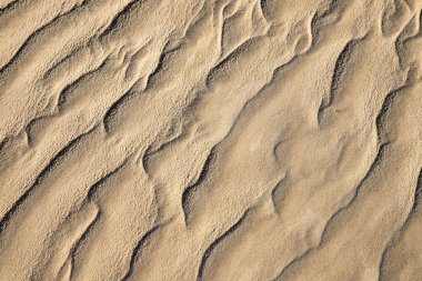 Rüzgarlı kum, Bacopari, Mustardas, Rio Grande do Sul, Brezilya