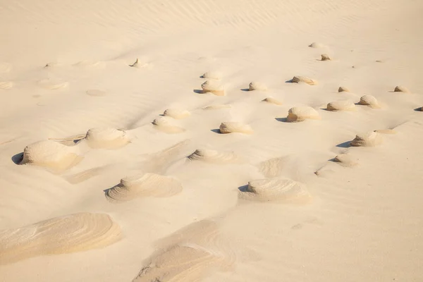 Sanddyner Med Vindmärken Bacopari Mostardas Rio Grande Sul Brasilien — Stockfoto