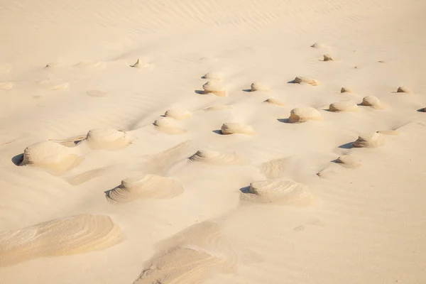 Dunes Wind Marks Bacopari Mostardas Rio Grande Sul Brazília — Stock Fotó