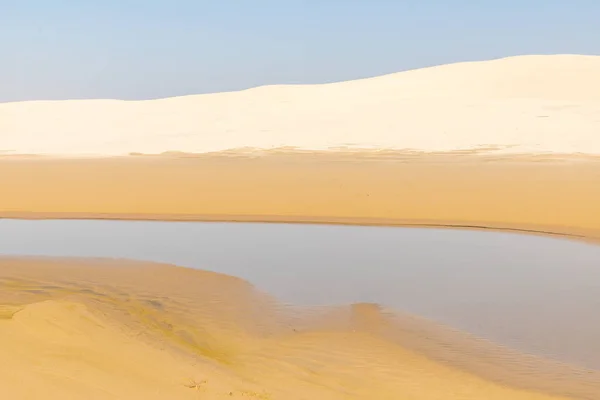 Λίμνη Άμμος Και Αμμόλοφοι Bacopari Mostardas Rio Grande Sul Βραζιλία — Φωτογραφία Αρχείου