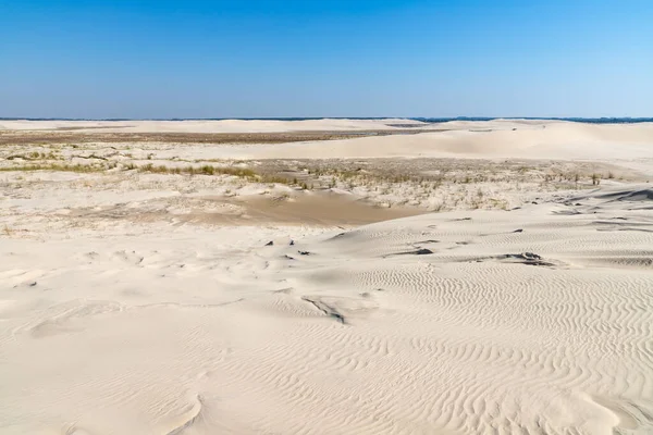 Dunes Wind Marks Vegetation Bacopari Mostardas Rio Grande Sul Brazil — Stock Photo, Image