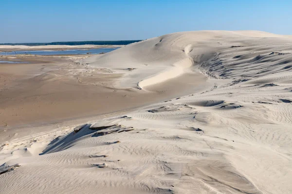 Dunes Wind Marks Vegetation Bacopari Mostardas Rio Grande Sul Brazília — Stock Fotó